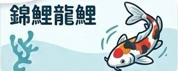 錦鯉龍鯉