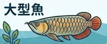 大型魚