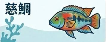 慈鯛 神仙魚