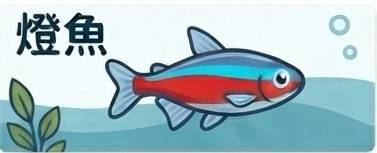 燈魚