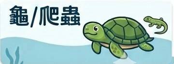 龜/爬蟲